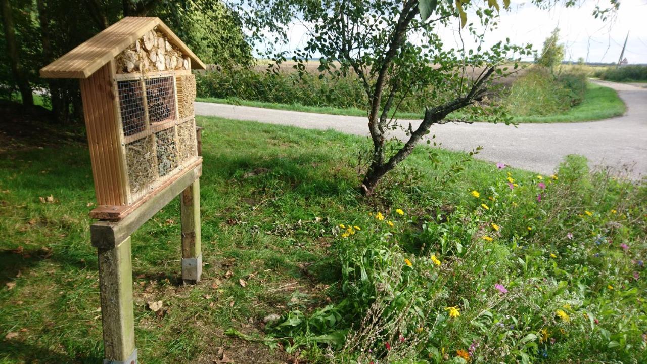 Villa Nordic Dornum Zewnętrze zdjęcie